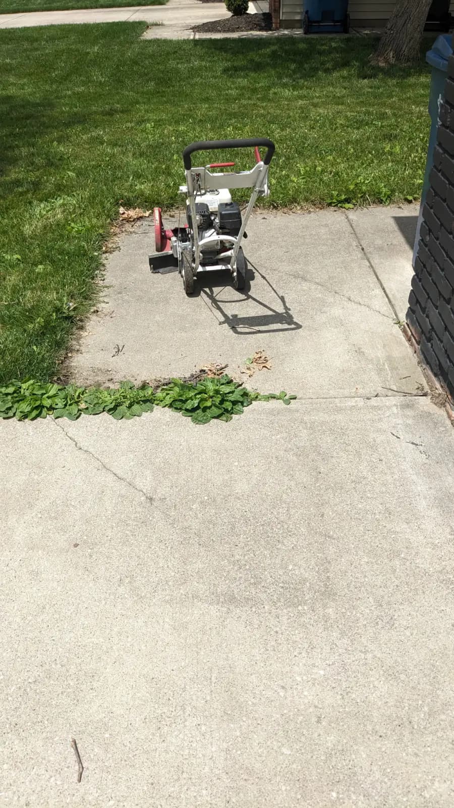 Driveway apron before edging — weeds and grass creeping across the concrete